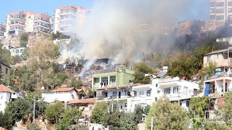 Antalyada elektrik telleri ağılın üzerine düştü: 50ye yakın keçi ve koyun telef oldu