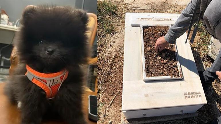 Mersinde iki kızın severken ölümüne neden olduğu köpeğe otopsi yapılacak