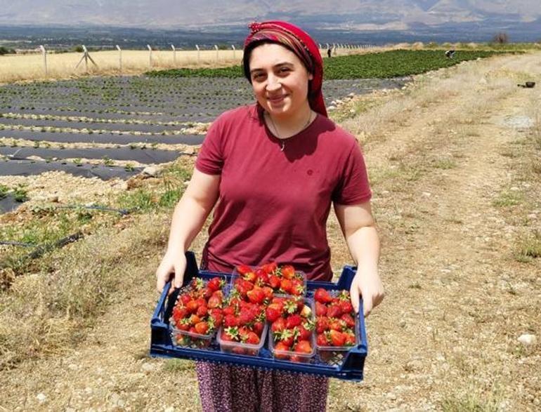 Erzincan çileğin merkezi olacak Yeni projelerimiz devam edecek