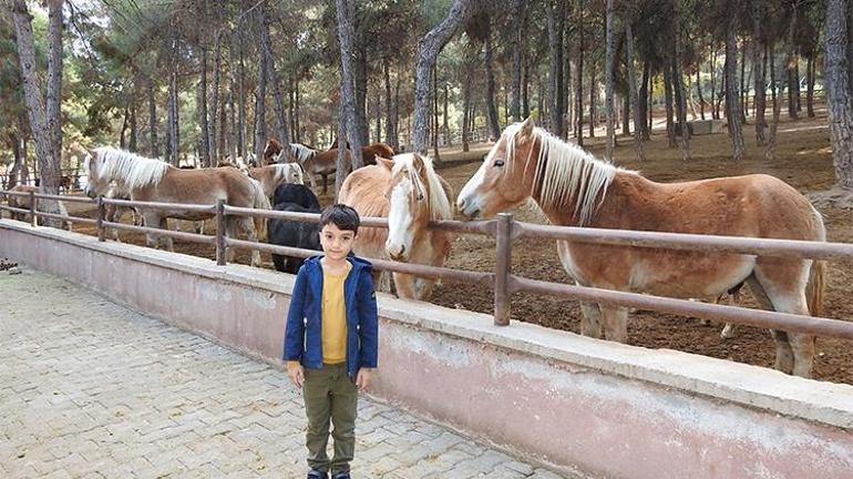 Avrupanın üçüncü en büyük hayvanat bahçesi Gaziantepte  Zoo Parkında büyük sevinç yaşanıyor