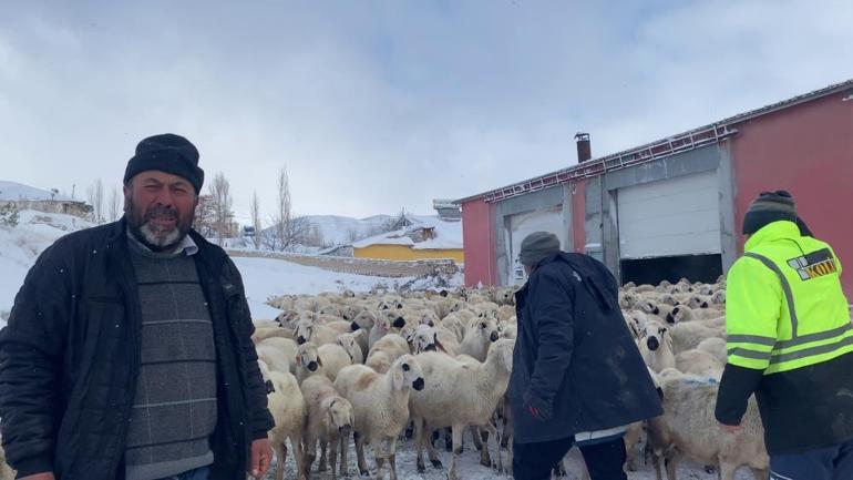 Sivasta mahsur kalan çoban ve koyunların imdadına belediye ekipleri yetişti