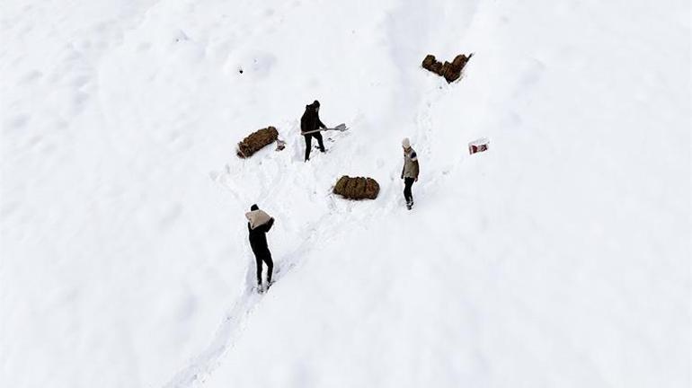 Erzincanda yabani hayvanlar için doğaya yem bırakıldı