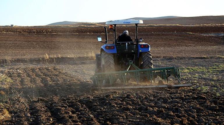 Şanlıurfada geciken yağışlar yüzünden tohumlar toprakla buluşamadı