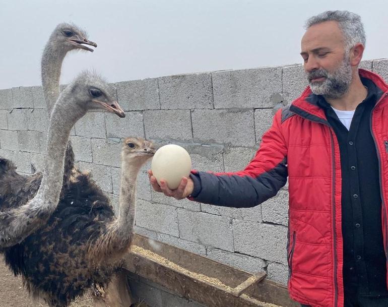 İstanbul bırakıp memleketine döndü, hayali gerçekleştirdi