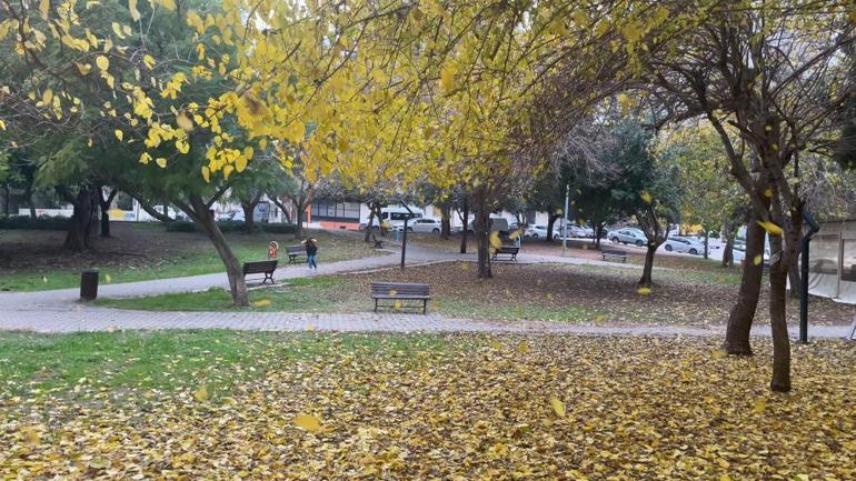 Adana’da yapraklarını döken ağaçlar görsel şölen sundu