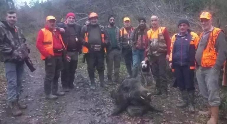 Kastamonu’da domuz dehşeti 1 kişi ağır yaralandı