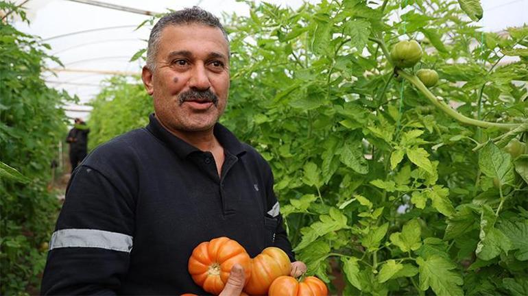 Mühendisliği bıraktı, baba mesleğine döndü Onu gören komşuları da bu işe başladı