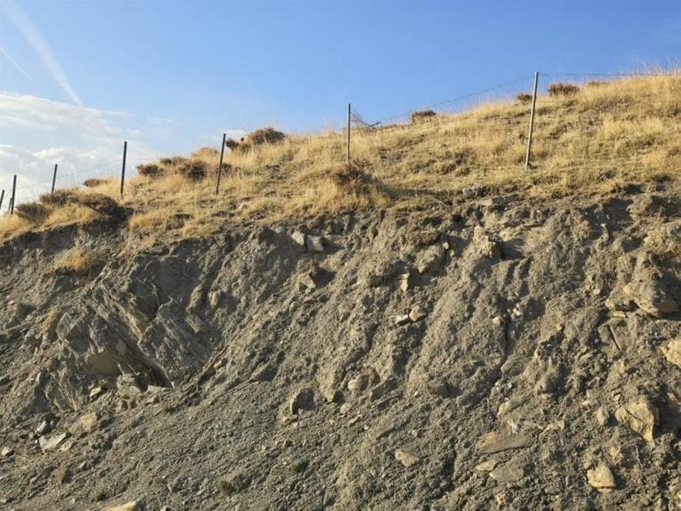 Batmanda bal ormanı için harekete geçildi 2 bin adet fidan dikildi