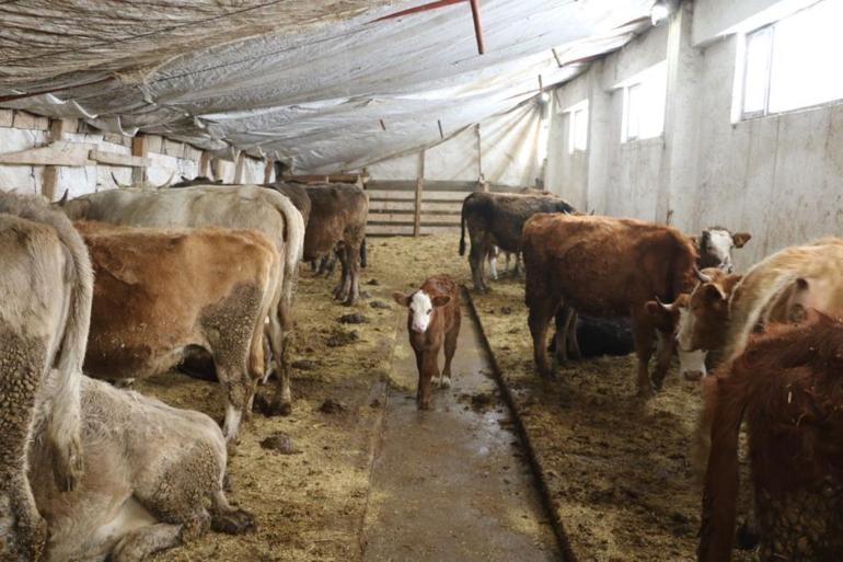 25 yıl sonra memleketine dönen girişimci kendi işini kurdu Örnek başarı hikayesiyle kadınlara ilham oldu