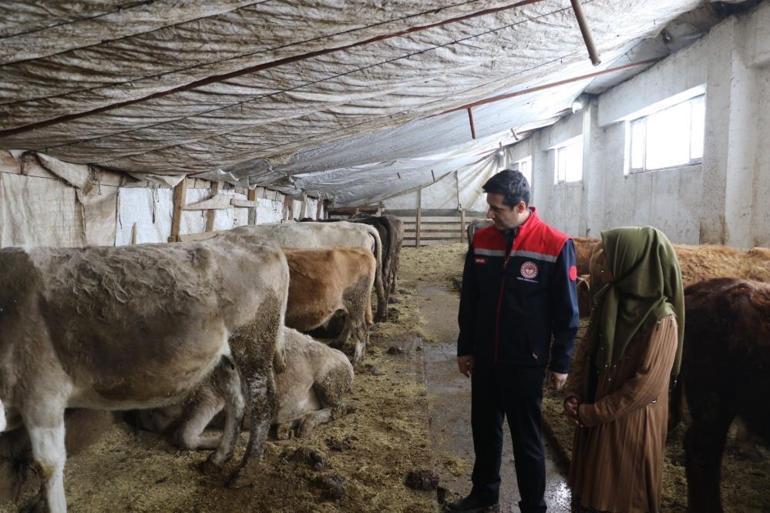 25 yıl sonra memleketine dönen girişimci kendi işini kurdu Örnek başarı hikayesiyle kadınlara ilham oldu