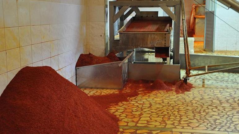 İslahiye pul biberi 50 ülkeye, 50 milyon dolarlık ihraç edildi