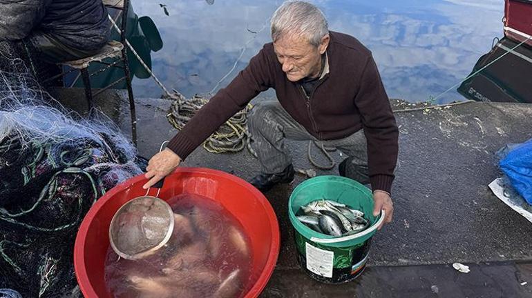 Zonguldakta denize çıkan balıkçılar 2 ton lüferle döndü