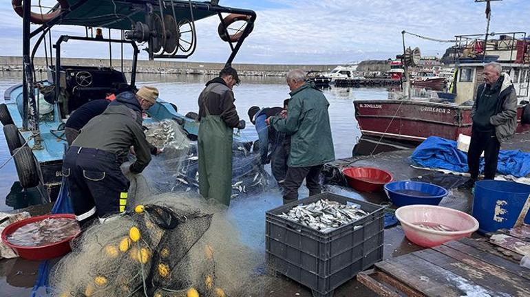 Zonguldakta denize çıkan balıkçılar 2 ton lüferle döndü