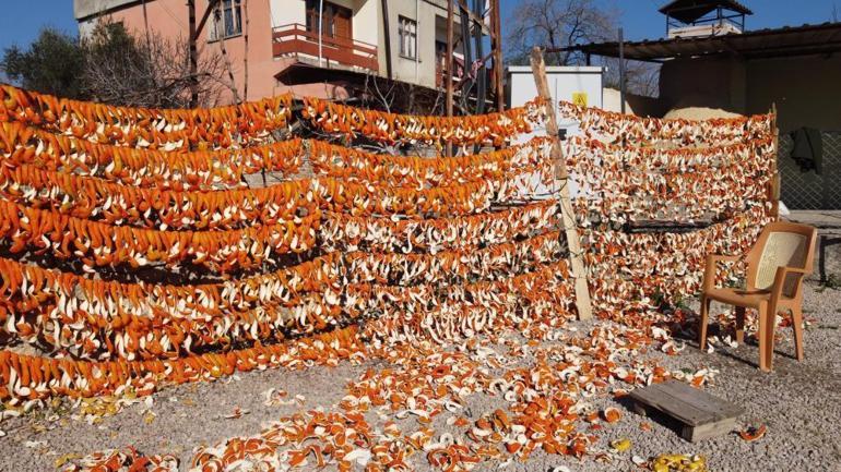 Bu meyvelerin kabuğu altın değerinde Kapış kapış gidiyor: Yurt içi ve yurt dışından yoğun talep var