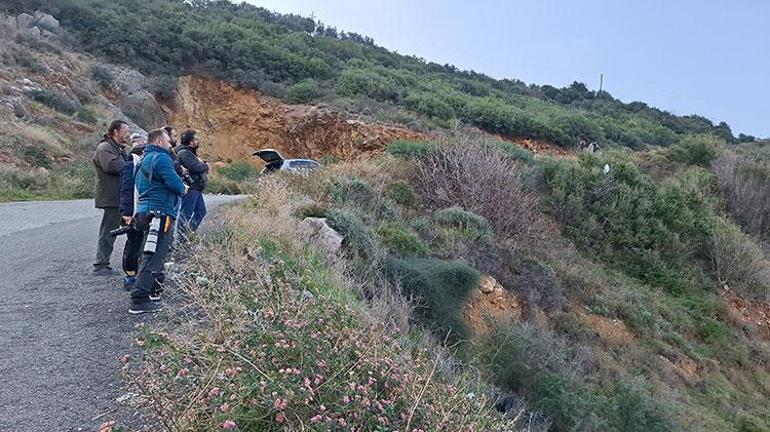 Samandağ Sahilinde bir ilk: Filistin Nektarkuşu görüldü