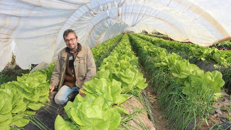Aydında Arif - Zülfiye çifti yılın 12 ayı salatalık sebzesi üretiyor