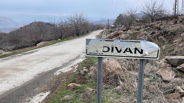Şanlıurfada 3 kişiyi ısıran köpeğin kuduz olduğu ortaya çıktı Mahalle karantinaya alındı