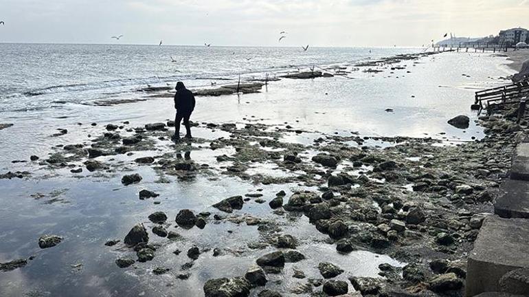 Tekirdağda deniz çekildi Kral Yolu ortaya çıktı