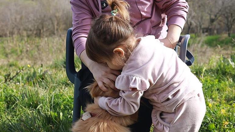 Alex geldi tabletler telefonlar rafa kalktı Kocaelinde sahiplendikleri köpekten sonra çocuklar sosyal medyadan uzaklaştı