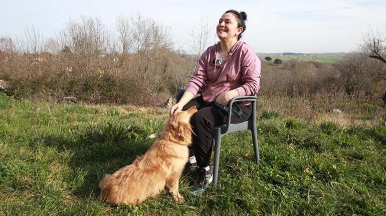 Alex geldi tabletler telefonlar rafa kalktı Kocaelinde sahiplendikleri köpekten sonra çocuklar sosyal medyadan uzaklaştı