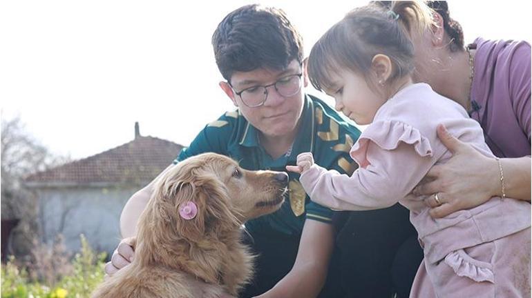 Alex geldi tabletler telefonlar rafa kalktı Kocaelinde sahiplendikleri köpekten sonra çocuklar sosyal medyadan uzaklaştı
