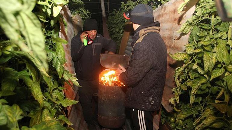 Mersinde çiftçiler zirai don nöbetinde: Seralarda sobalar yandı