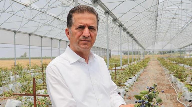 Çukurova toprakları tropikal meyveyle bereketini katladı Hem üretici hem de ülke kazanıyor