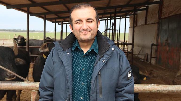 Diyarbakırda İtalyan mandalar görücüye çıktı