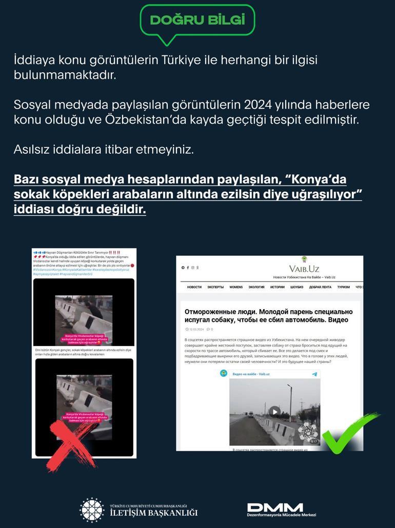 İletişim Başkanlığından köpeklerin ezilmesi ile ilgili açıklama geldi: Görüntüler Konyadan değil Özbekistandan