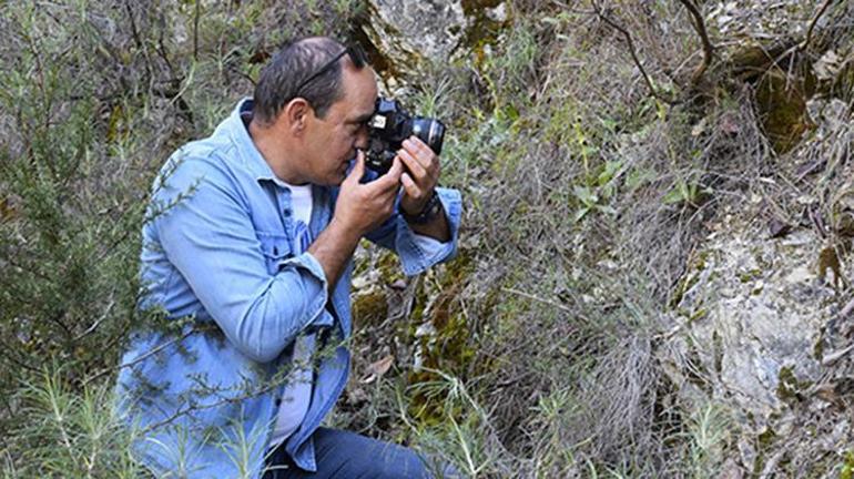 Antalyada orkide mevsimi başladı, turistler görmek için akın etti Bu çiçeği koparmanın cezası 552 bin lira
