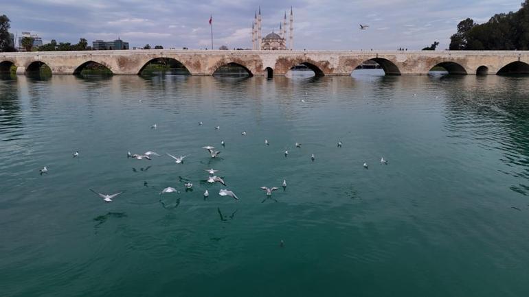 Portakal Çiçeği Karnavalı öncesi Seyhan Nehri eski ihtişamına kavuştu Vatandaşlar akın etti