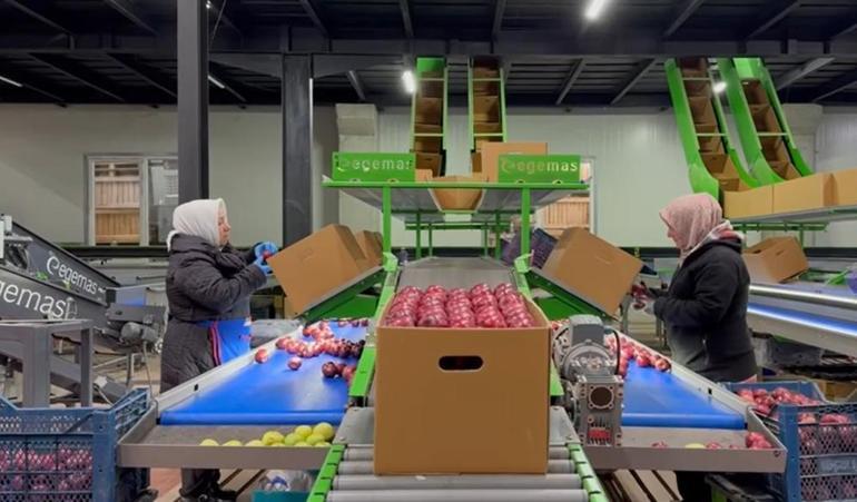 Ispartada elma bahçelerine organik dokunuş, hümik asit projesi hayata geçiyor