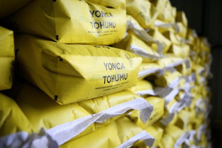 Bingölde çiftçilere yüzde 70 hibeyle mısır ve yonca tohumu dağıtıldı