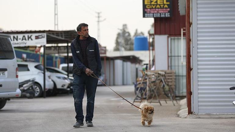 Hataylı vatandaş deprem anında uyanmasını sağlayan köpeğini yanından ayırmıyor