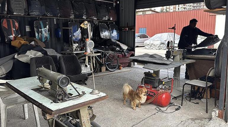 Hataylı vatandaş deprem anında uyanmasını sağlayan köpeğini yanından ayırmıyor