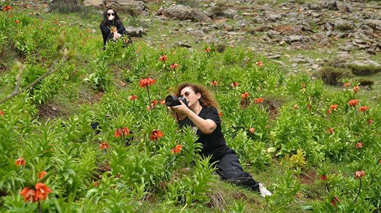 1800 rakımda yetişiyor, sadece 1 aylık ömrü var Trabzondan Muşa fotoğrafını çekmek için geldiler