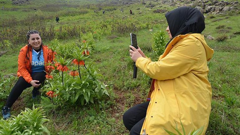 1800 rakımda yetişiyor, sadece 1 aylık ömrü var Trabzondan Muşa fotoğrafını çekmek için geldiler