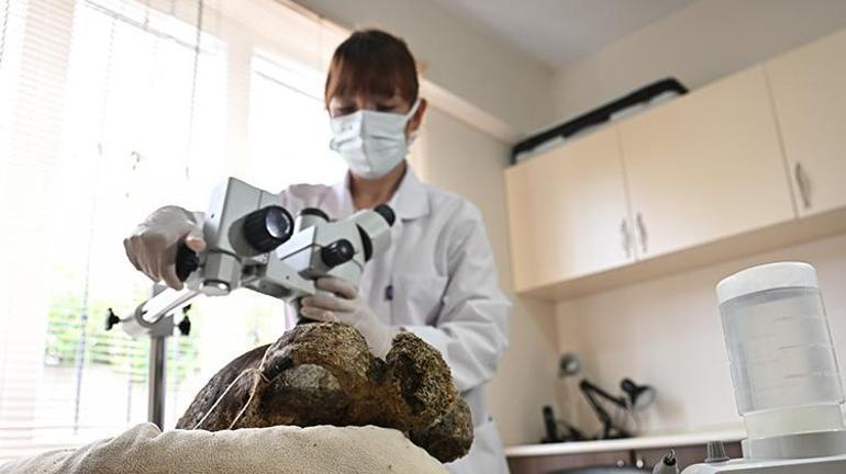 Akdenizde su altı kazılarında bin 100 yıllık amfora bulundu