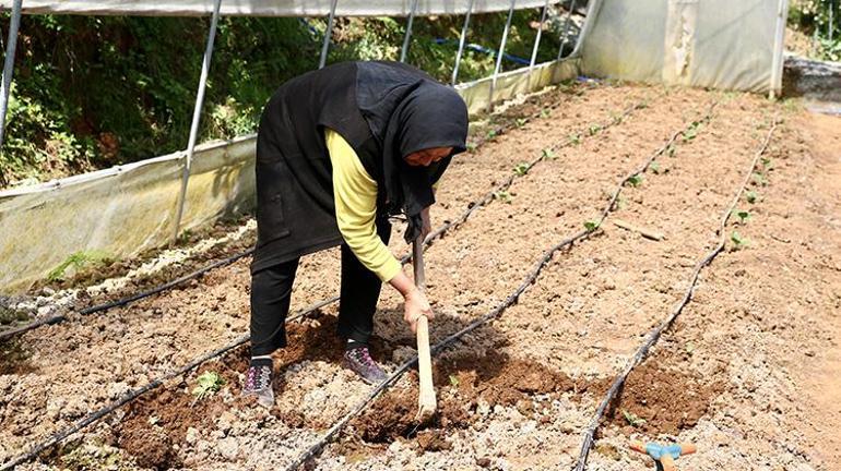 Bir damla yağmur suyu boşa akmıyor Seracılara devlet desteğiyle depo kuruldu