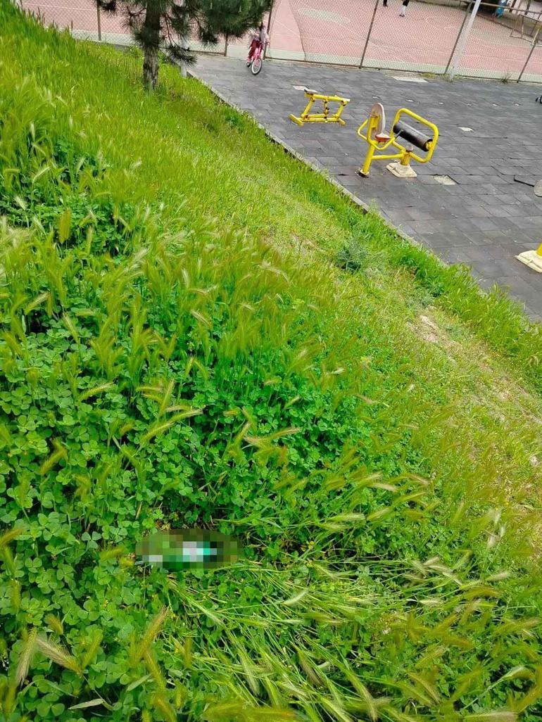 Parkta bulduğu içkiyi su sanan çocuk zehirlendi