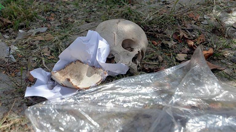 Adanada gizemli kafatası paniği Çöp dökerken fark etti, mahalleli telefona sarıldı