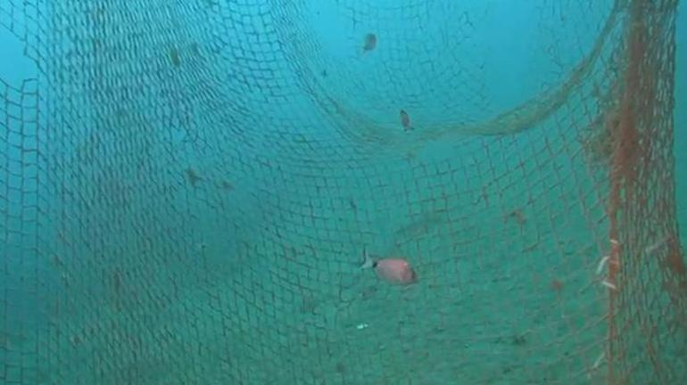 Deniz canlıları için ölüm tuzağı: Karaburun açıklarında 1,5 ton hayalet ağ çıkarıldı