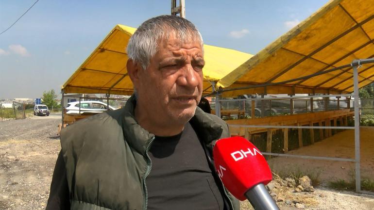 İstanbulda ilk kurban pazarları kurulmaya başlandı Kurbanlıklar 10 gün sonra gelecek