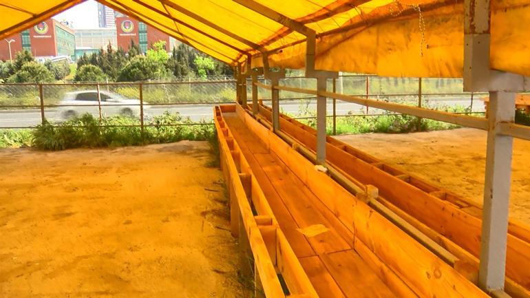 İstanbulda ilk kurban pazarları kurulmaya başlandı Kurbanlıklar 10 gün sonra gelecek