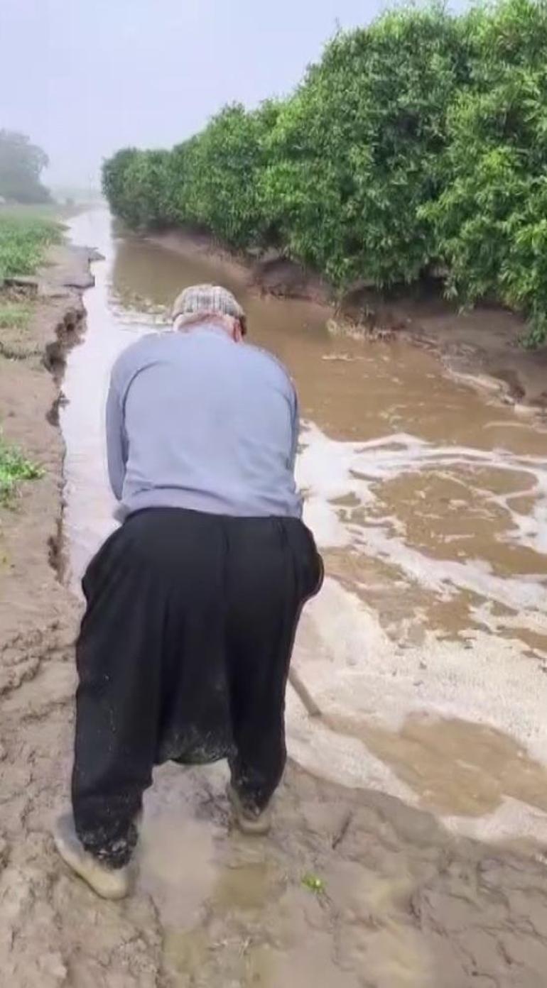 Tarım alanlarını dolu vurdu, çiftçi büyük zararda Adanada bu yıl felaketler yılı oldu