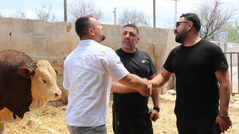 Uzun süren pazarlığın ardından Poyraz rekor fiyata satıldı Paraya kıydı İstanbuldaki çadırında satacak