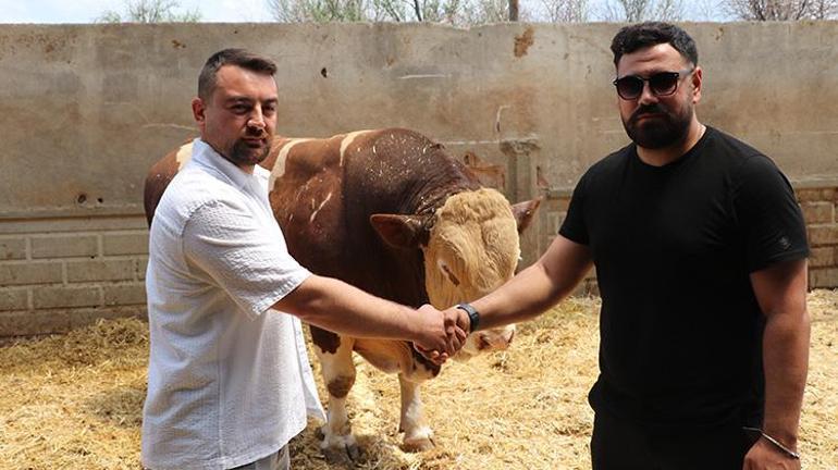 Uzun süren pazarlığın ardından Poyraz rekor fiyata satıldı Paraya kıydı İstanbuldaki çadırında satacak
