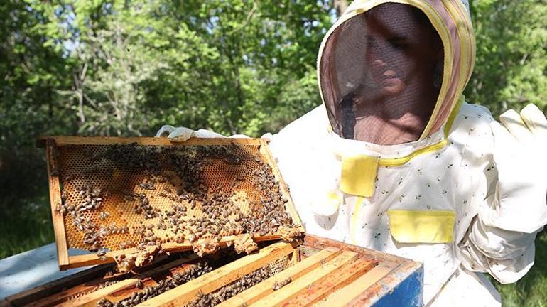 Tatile gittiği şehirde gördüğü köyü 10 yıl boyunca unutamadı Sonunda İstanbulu terk edip köye yerleşti mesleğini de değiştirdi