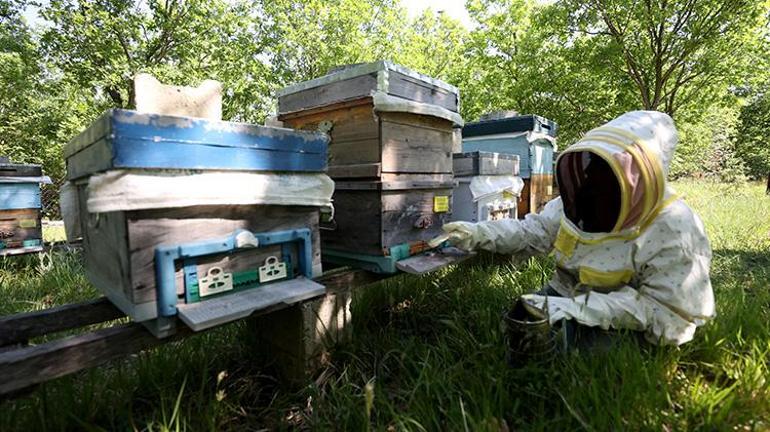Tatile gittiği şehirde gördüğü köyü 10 yıl boyunca unutamadı Sonunda İstanbulu terk edip köye yerleşti mesleğini de değiştirdi
