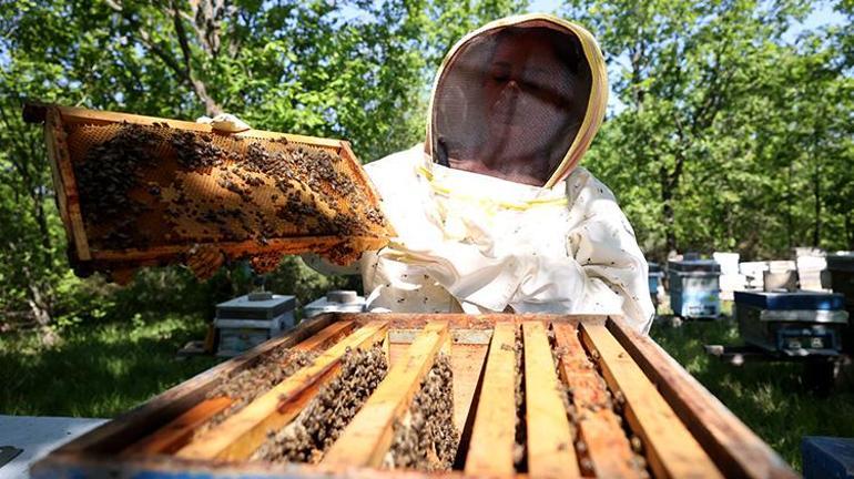 Tatile gittiği şehirde gördüğü köyü 10 yıl boyunca unutamadı Sonunda İstanbulu terk edip köye yerleşti mesleğini de değiştirdi